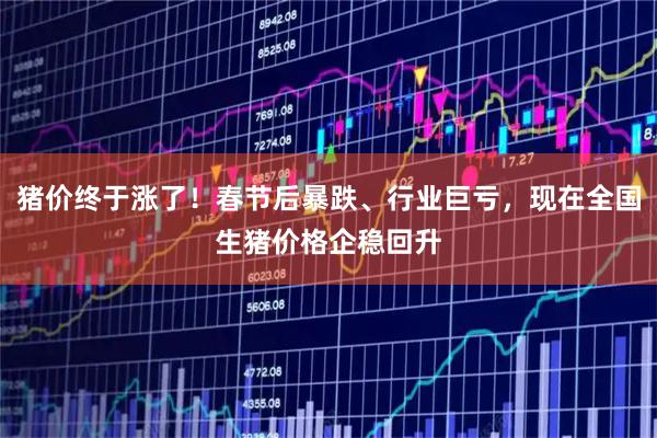 猪价终于涨了！春节后暴跌、行业巨亏，现在全国生猪价格企稳回升