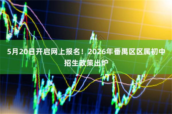 5月20日开启网上报名！2026年番禺区区属初中招生政策出炉