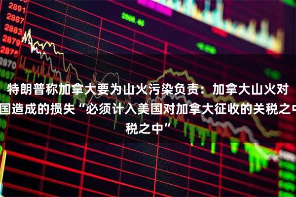特朗普称加拿大要为山火污染负责：加拿大山火对美国造成的损失“必须计入美国对加拿大征收的关税之中”